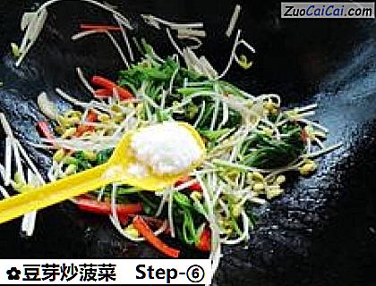 豆芽炒菠菜做法第六步骤