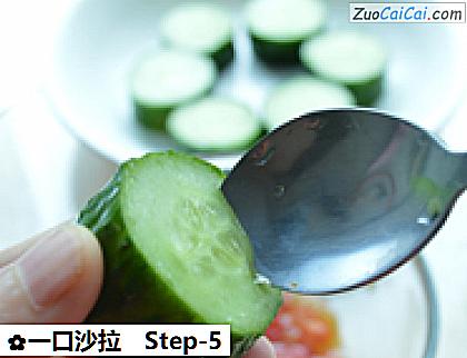 一口沙拉做法第五步骤