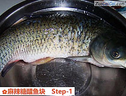 麻辣糖醋鱼块做法第一步骤