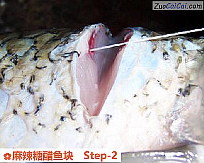麻辣糖醋鱼块做法第二步骤