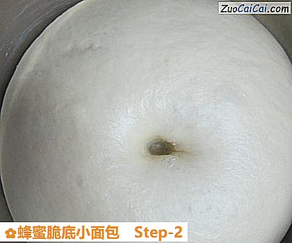 蜂蜜脆底小面包做法第二步骤