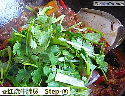 红烧牛腩煲做法第八步骤