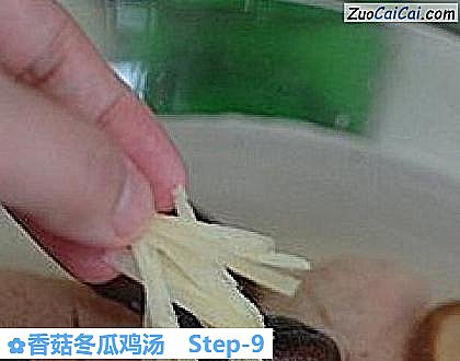 香菇冬瓜鸡汤做法第九步骤