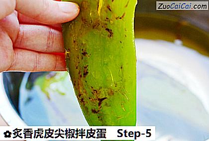 炙香虎皮尖椒拌皮蛋做法第五步骤