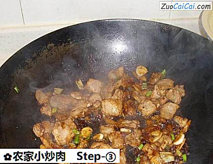 农家小炒肉做法第三步骤