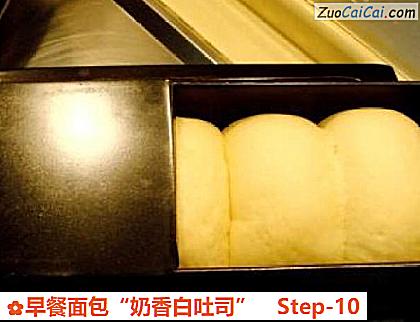 早餐面包“奶香白吐司”做法第十步骤
