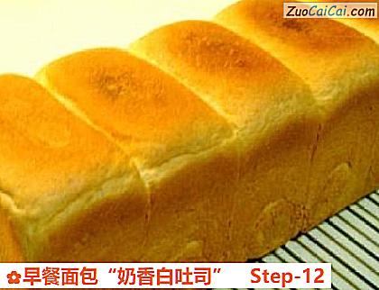 早餐面包“奶香白吐司”做法第十二步骤