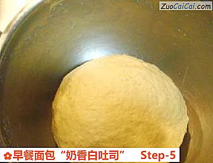 早餐面包“奶香白吐司”做法第五步骤