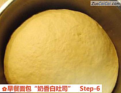 早餐面包“奶香白吐司”做法第六步骤