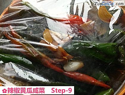 辣椒黄瓜咸菜做法第九步骤
