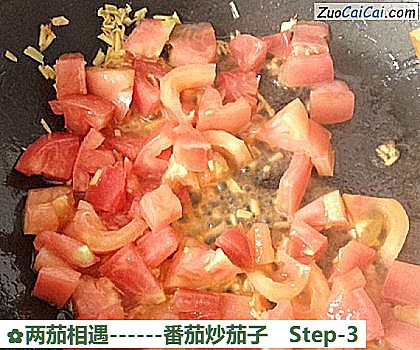番茄炒茄子做法第三步骤
