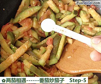 番茄炒茄子做法第五步骤