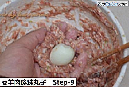 羊肉珍珠丸子做法第九步骤