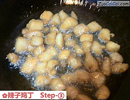 辣子鸡丁做法第三步骤