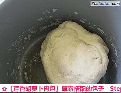 芹香胡萝卜肉包做法第四步骤