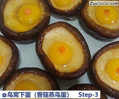 鸟窝下蛋做法第三步骤