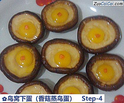 鸟窝下蛋做法第四步骤
