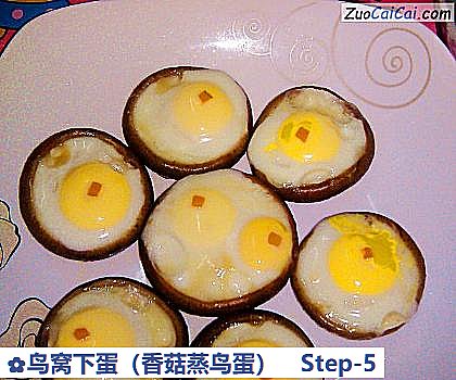 鸟窝下蛋做法第五步骤