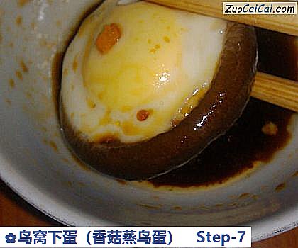 鸟窝下蛋做法第七步骤