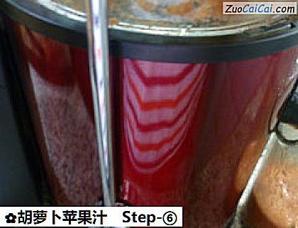 胡萝卜苹果汁做法第六步骤
