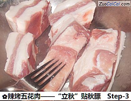 辣烤五花肉做法第三步骤