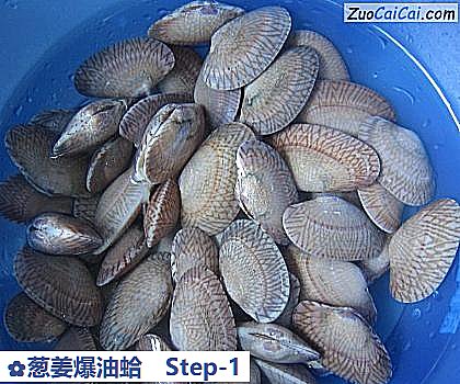 葱姜爆油蛤做法第一步骤