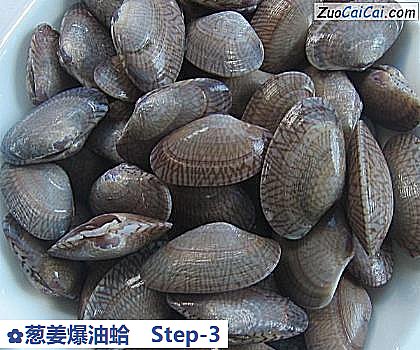 葱姜爆油蛤做法第三步骤
