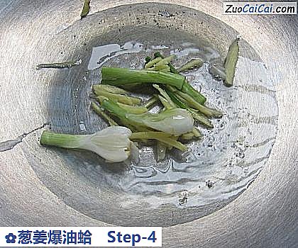 葱姜爆油蛤做法第四步骤