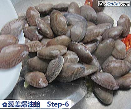 葱姜爆油蛤做法第六步骤