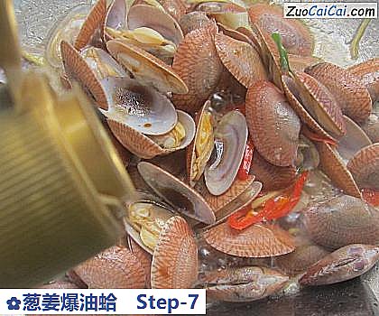 葱姜爆油蛤做法第七步骤
