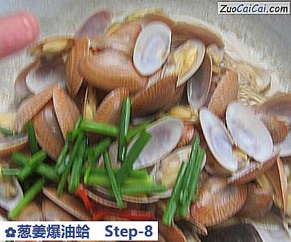 葱姜爆油蛤做法第八步骤