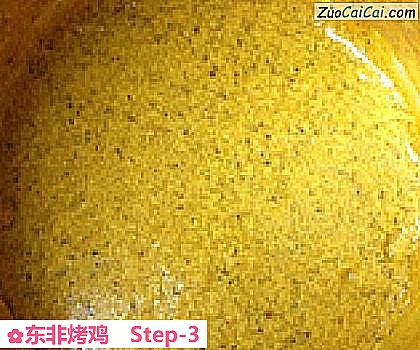 东非烤鸡做法第三步骤