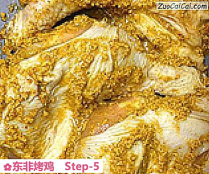 东非烤鸡做法第五步骤