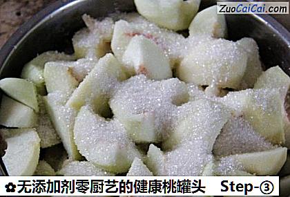 无添加剂零厨艺的健康桃罐头做法第三步骤