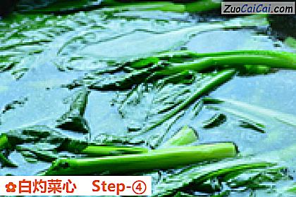白灼菜心做法第四步骤