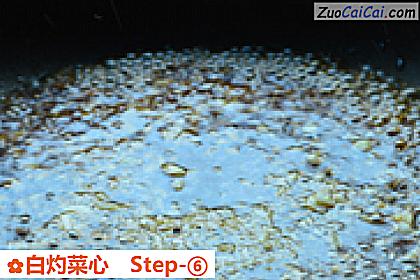 白灼菜心做法第六步骤
