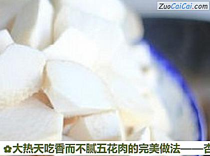 大热天吃香而不腻五花肉的完美做法做法第十一步骤