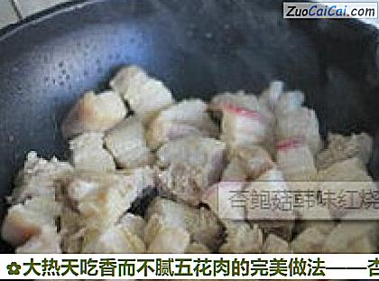 大热天吃香而不腻五花肉的完美做法做法第四步骤