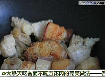 大热天吃香而不腻五花肉的完美做法做法第五步骤