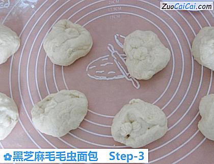 黑芝麻毛毛虫面包做法第三步骤
