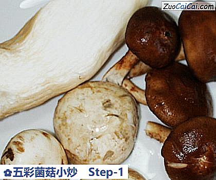 五彩菌菇小炒做法第一步骤