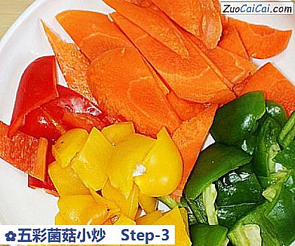 五彩菌菇小炒做法第三步骤