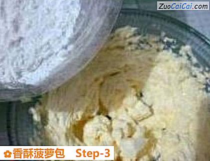 香酥菠萝包做法第三步骤