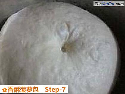 香酥菠萝包做法第七步骤