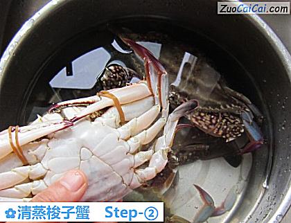 清蒸梭子蟹做法第二步骤