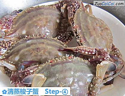 清蒸梭子蟹做法第四步骤
