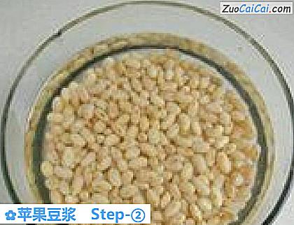 苹果豆浆做法第二步骤