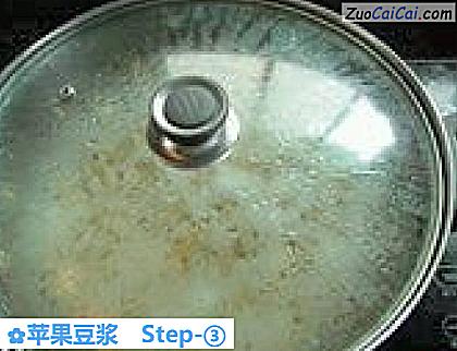 苹果豆浆做法第三步骤