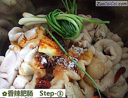 香辣肥肠做法第三步骤
