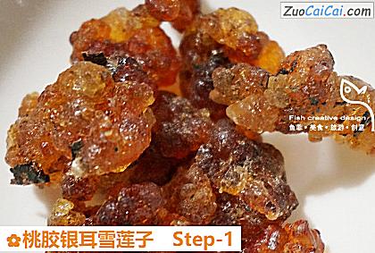桃胶银耳雪莲子做法第一步骤